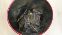 Woreczki strunowe z marihuaną w metalowej puszcze